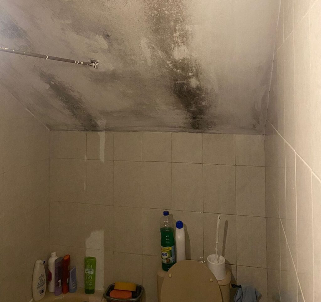 humedad techo del baño