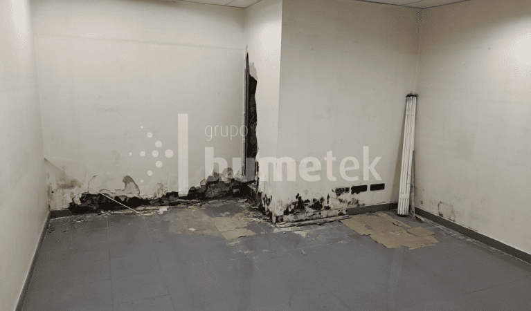 humedad estructural